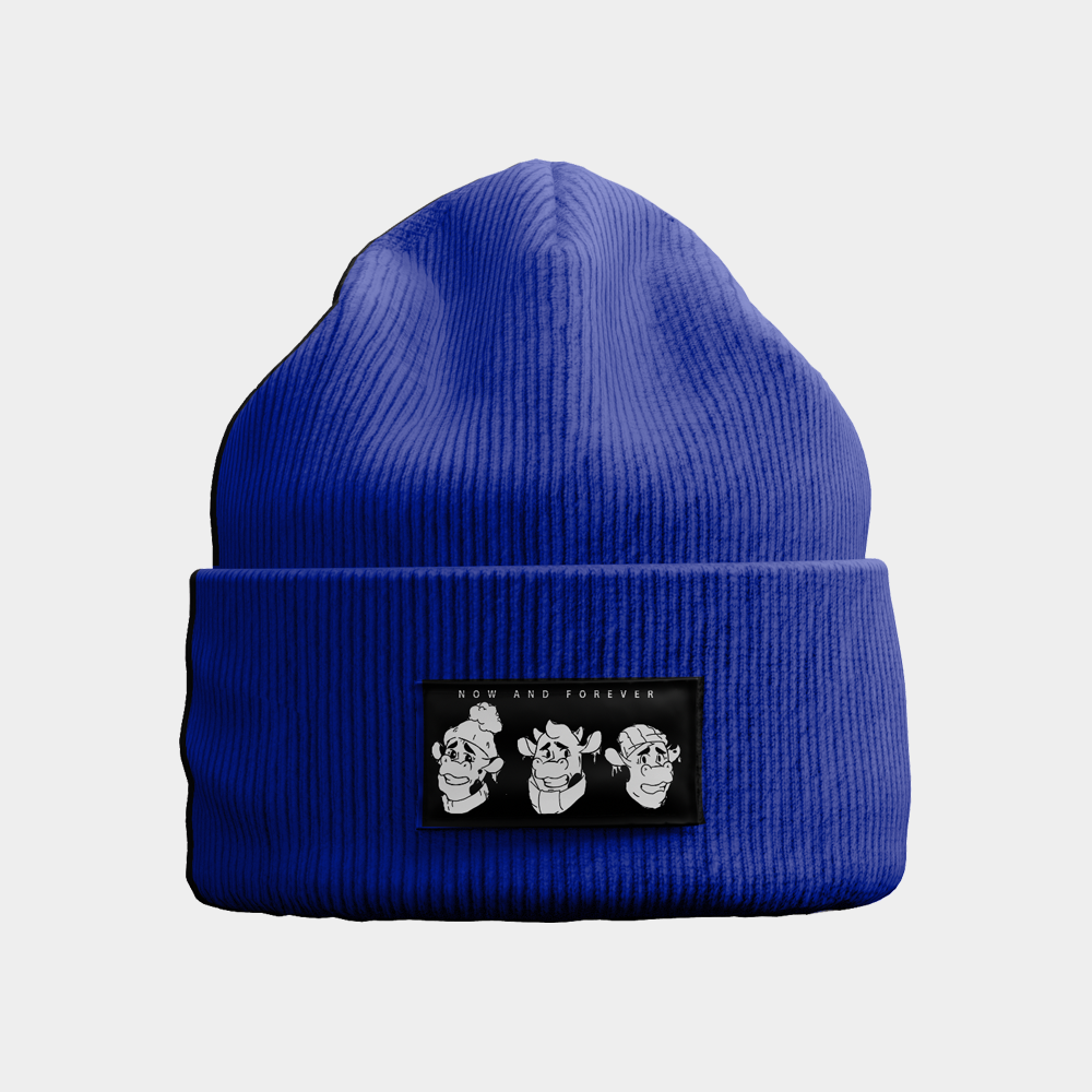 N&F 3 BULL BEANIE