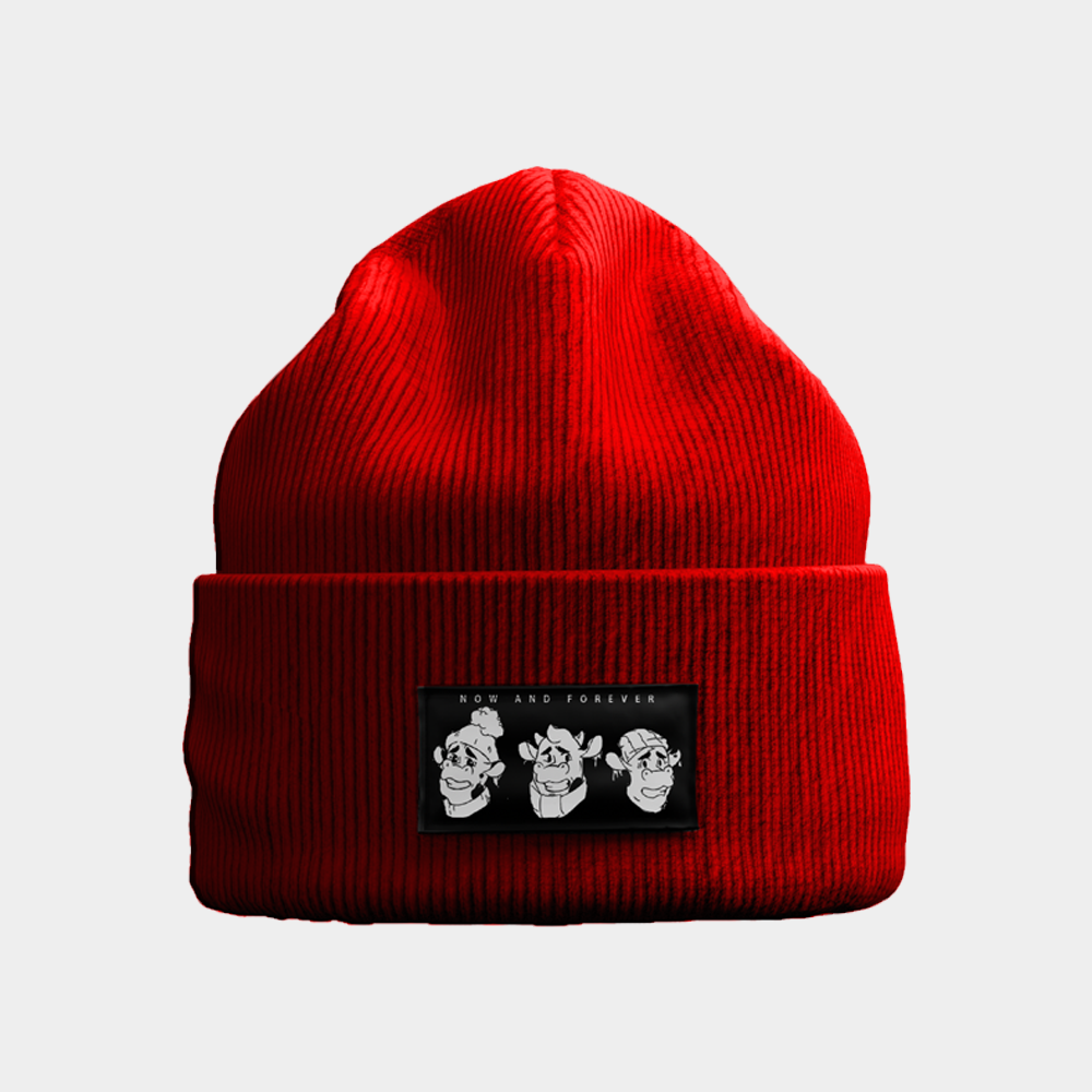 N&F 3 BULL BEANIE