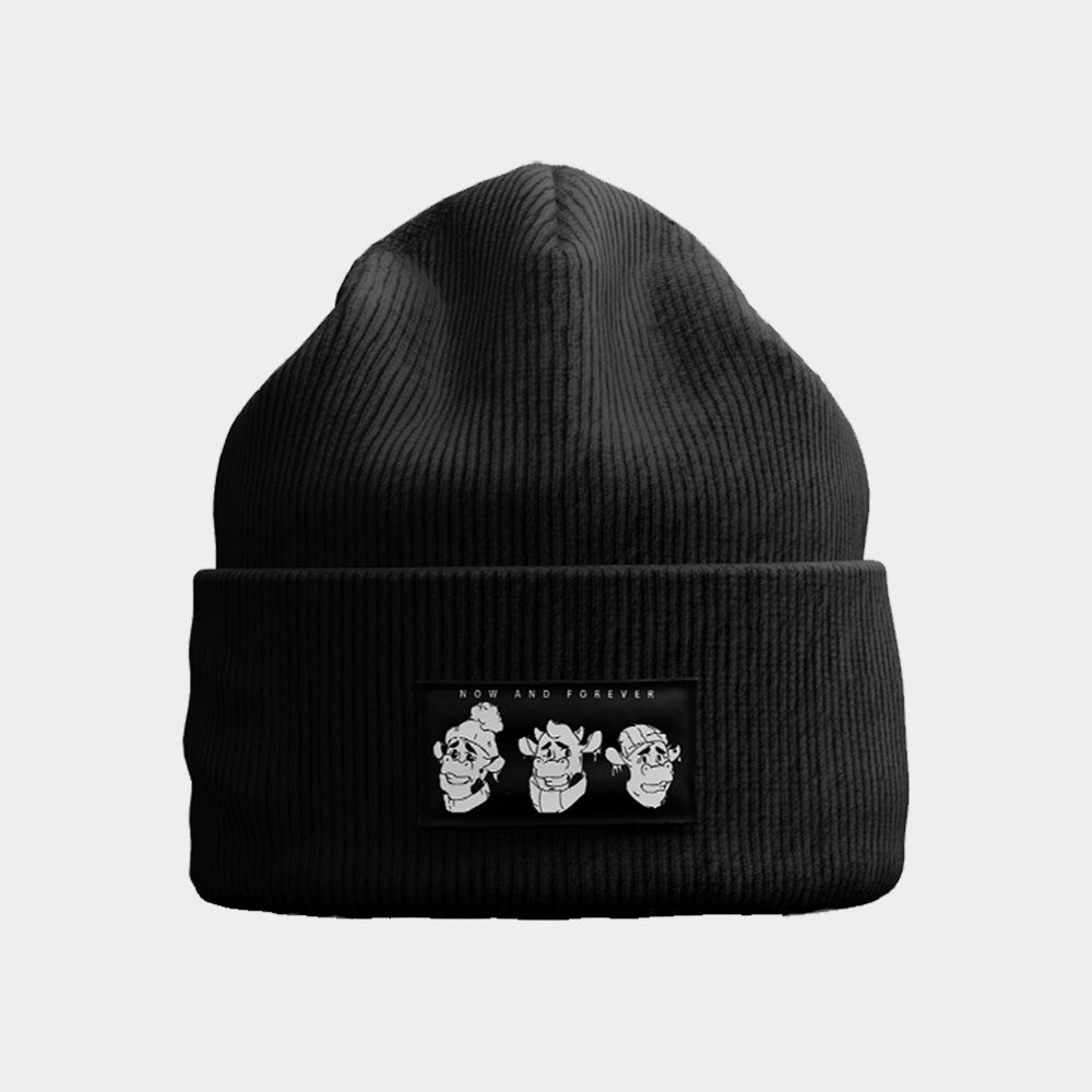 N&F 3 BULL BEANIE